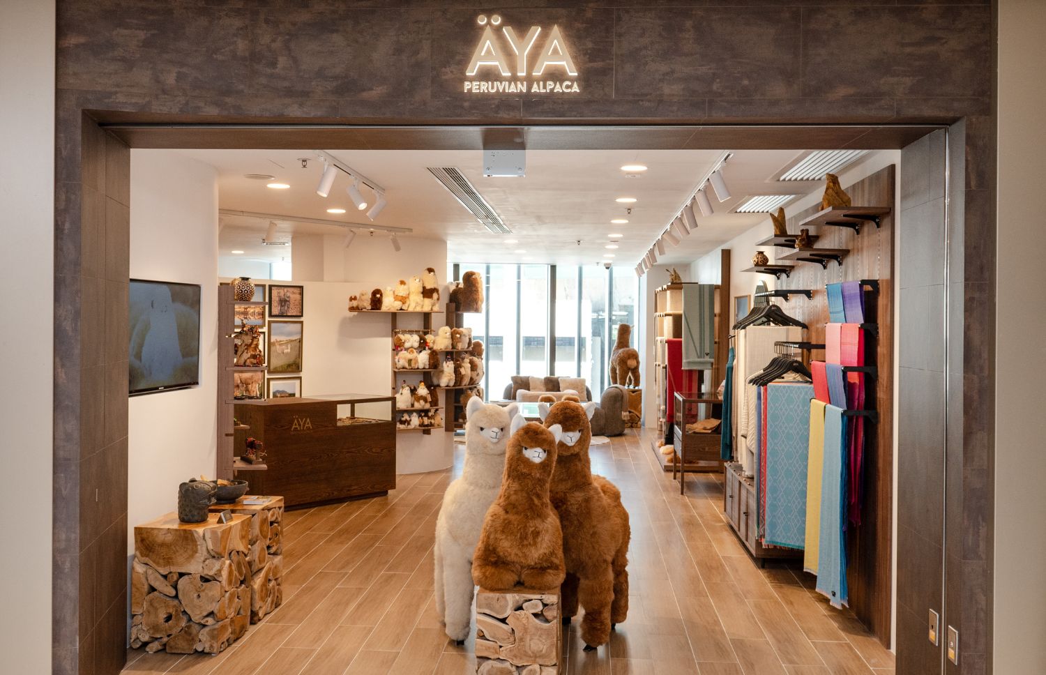 THE SOUTHSIDE | ÄYA Alpaca